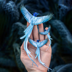 💫New💫 Asian Paradise Flycatcher 3 Piece Set - 'Feather & Flight'