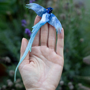 💫New💫 Asian Paradise Flycatcher 2 Piece Set - 'Feather & Flight'