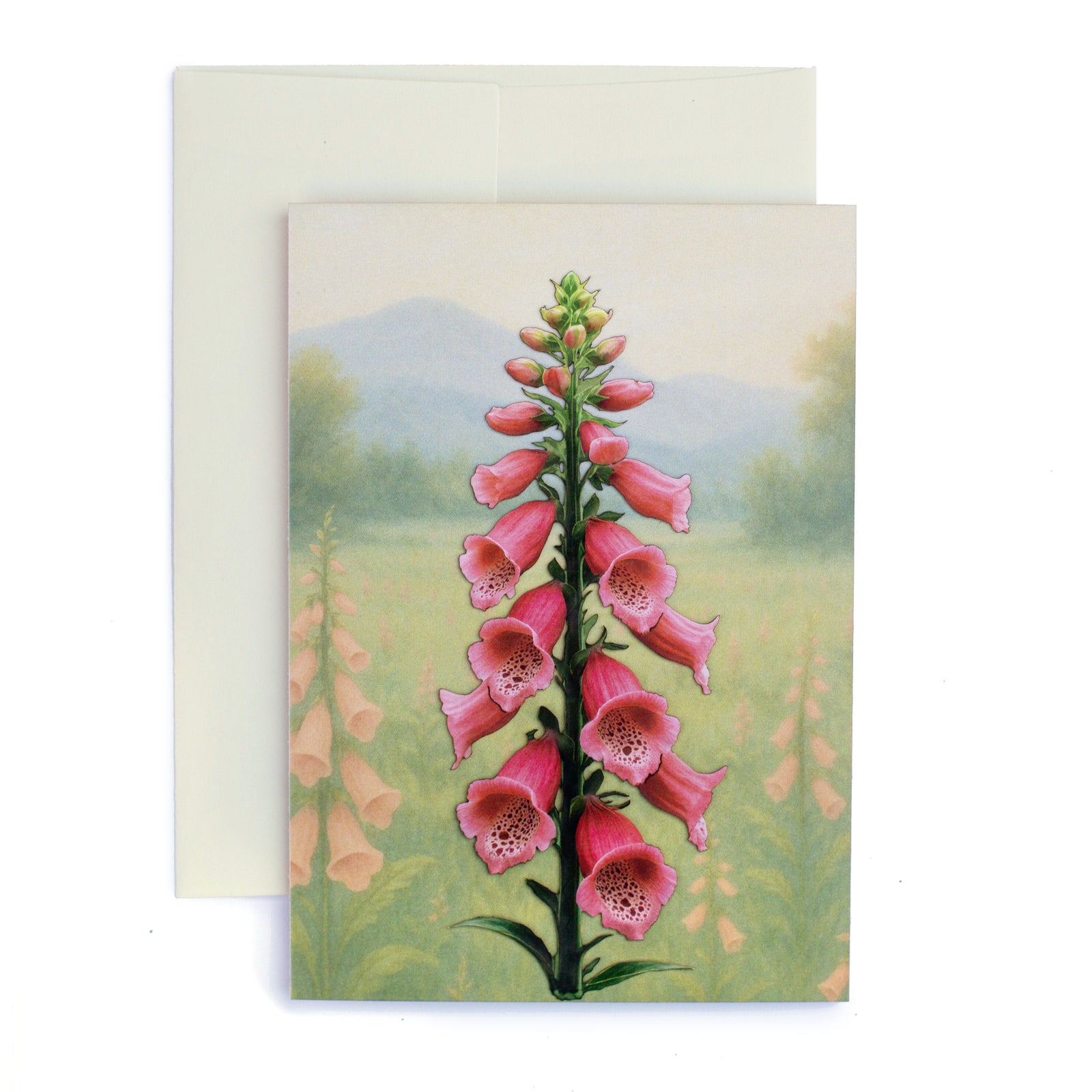 💫New💫 'Foxglove' Greeting Cards - Set of 4 - Reseller Wholesale