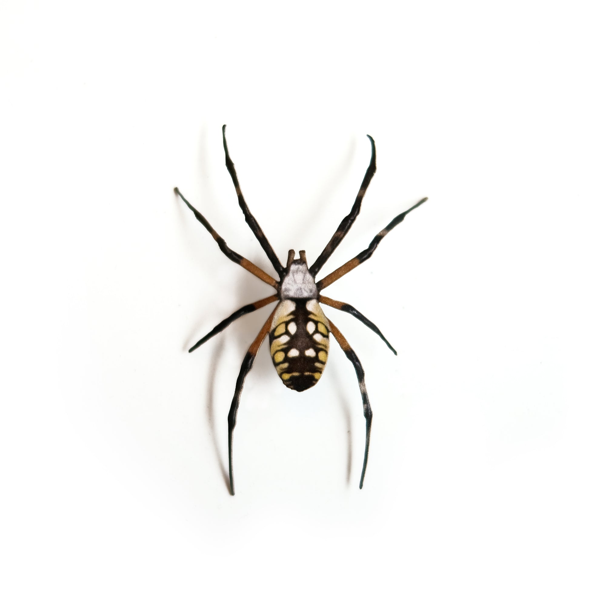💫Halloween💫 'Yellow Garden' Spider