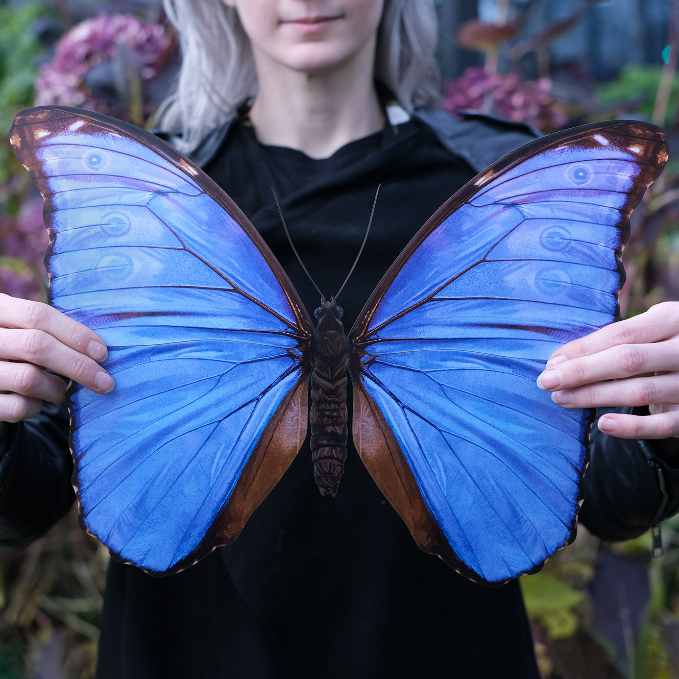💫New💫 Giant Blue Morpho Godarti Butterfly