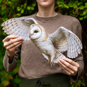 💫New💫 Giant Barn Owl (Flying) - The Nocturne Collection