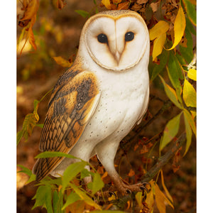 💫New💫 Giant Barn Owl (Perched) - The Nocturne Collection