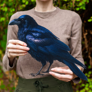 💫New💫 Giant Raven - The Nocturne Collection