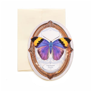 'Cottage' Butterfly Oval Greeting Cards - Set of 3
