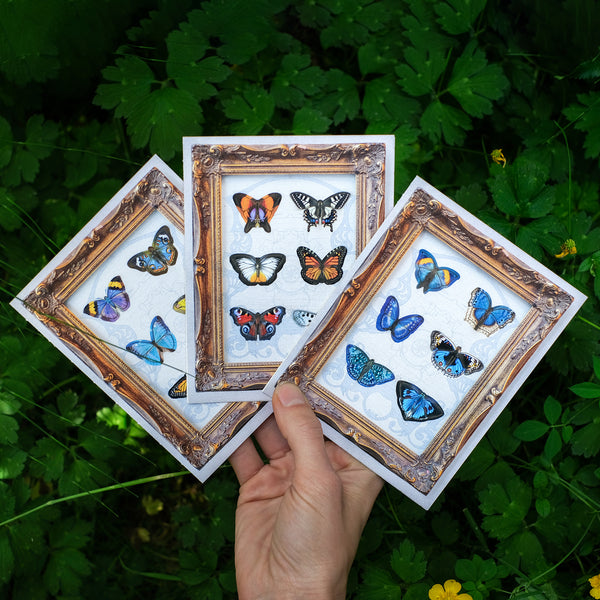 Mini Butterfly 'Pop-Out' Greeting Cards - Set of 3 - Moth & Myth