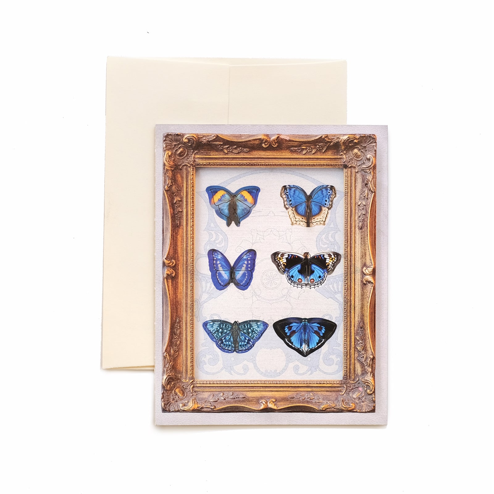 'Dreamy' Mini Butterfly 'Pop-Out' Greeting Card - Set of 4 - Reseller Wholesale