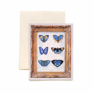 Mini Butterfly 'Pop-Out' Greeting Cards - Set of 3