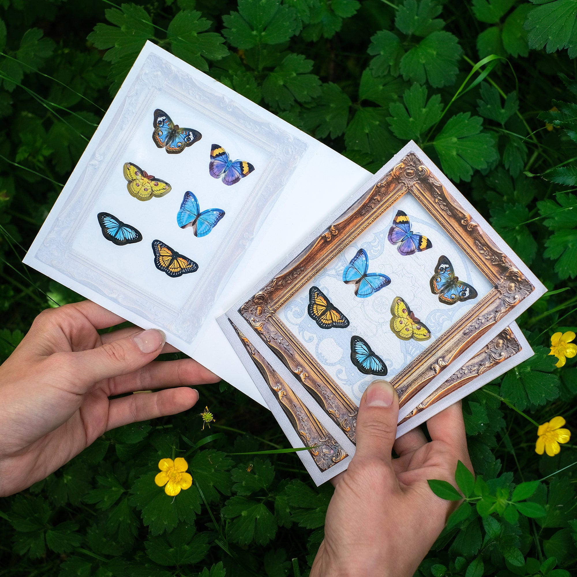 Mini Butterfly 'Pop-Out' Greeting Cards - Set of 3