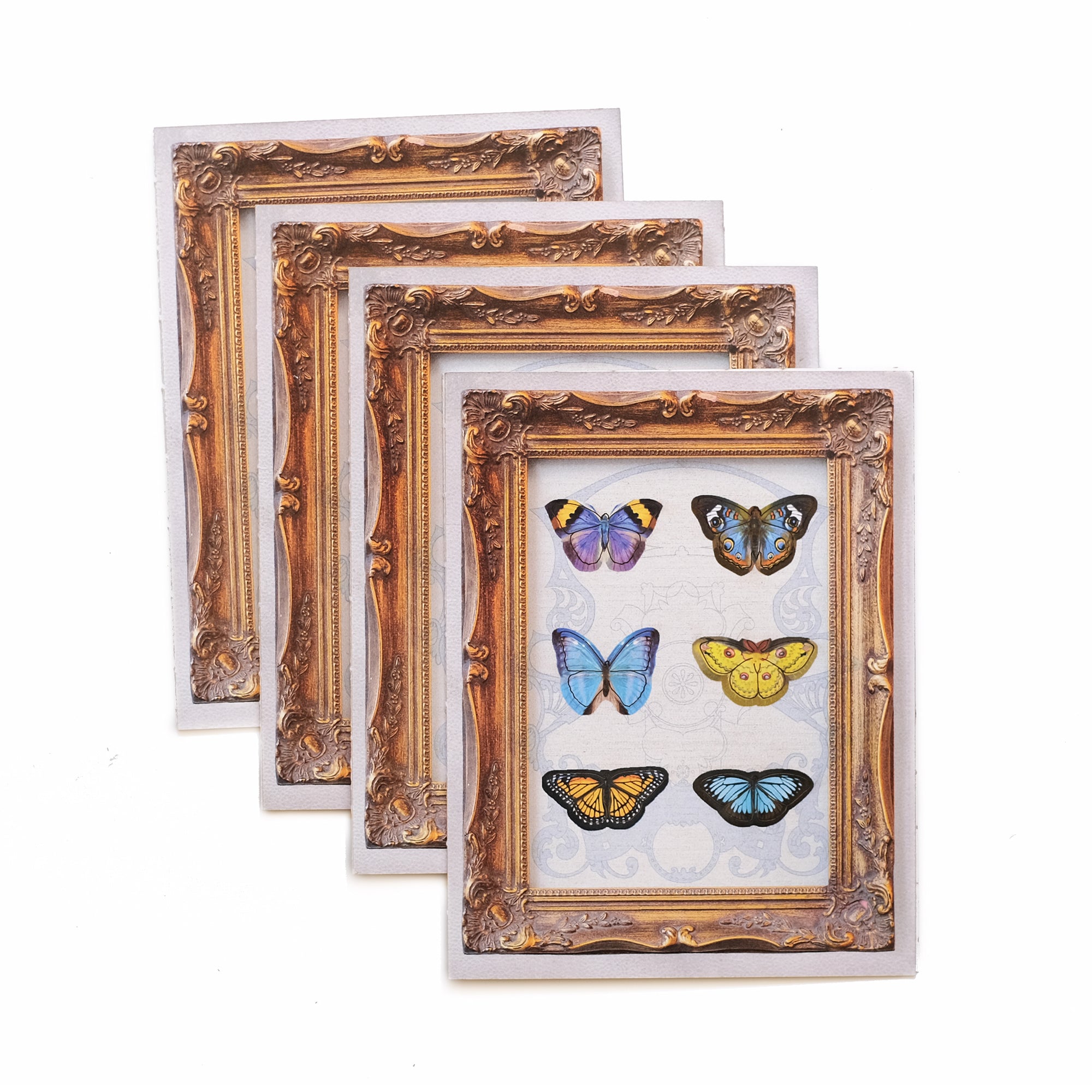 'Sunny' Mini Butterfly 'Pop-Out' Greeting Card - Set of 4 - Reseller Wholesale