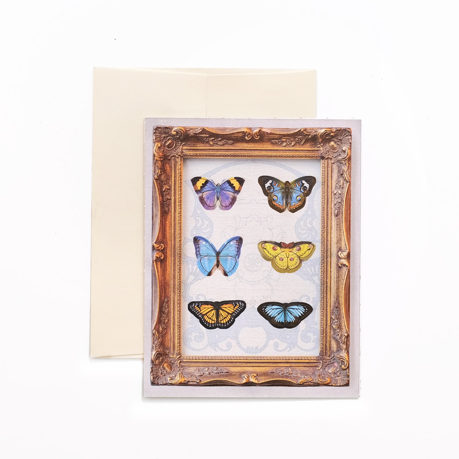 'Sunny' Mini Butterfly 'Pop-Out' Greeting Card - Set of 4 - Reseller Wholesale