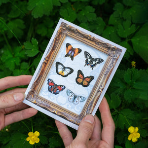 'Spellbound' Mini Butterfly 'Pop-Out' Greeting Card - Set of 4 - Reseller Wholesale
