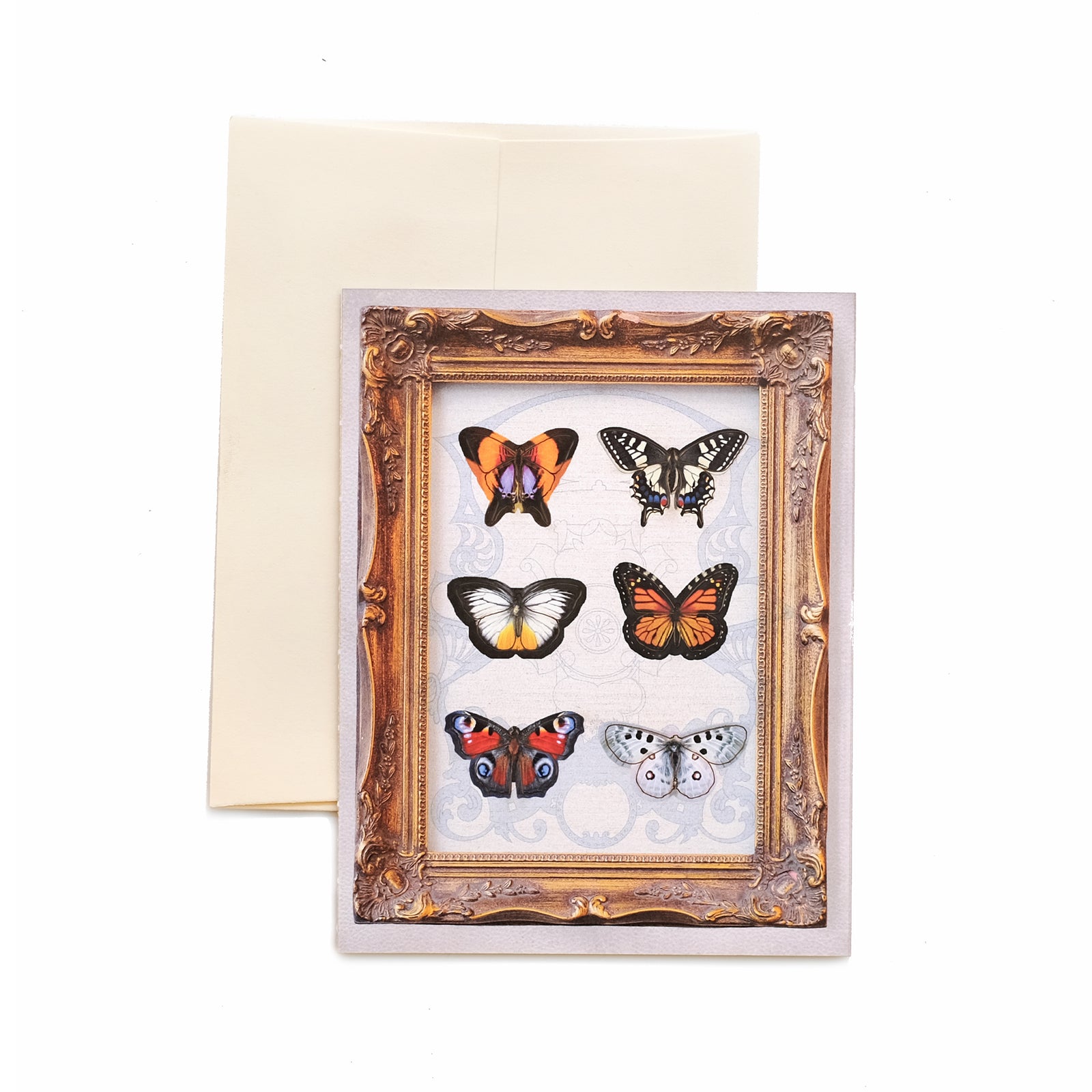 'Spellbound' Mini Butterfly 'Pop-Out' Greeting Card - Set of 4 - Reseller Wholesale
