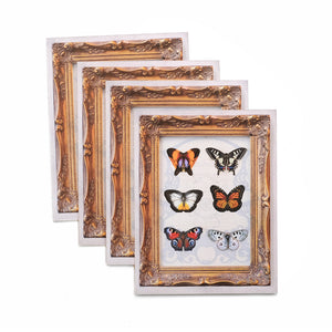 'Spellbound' Mini Butterfly 'Pop-Out' Greeting Card - Set of 4 - Reseller Wholesale