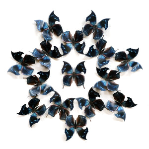 Hatchet Butterfly Multi-Pack