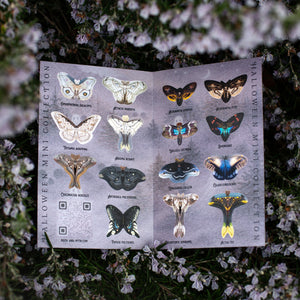 ⚡️New!⚡️ Halloween Mini Collection