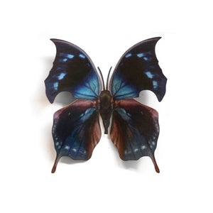 💫Halloween💫 'Blue Hatchet' Butterfly