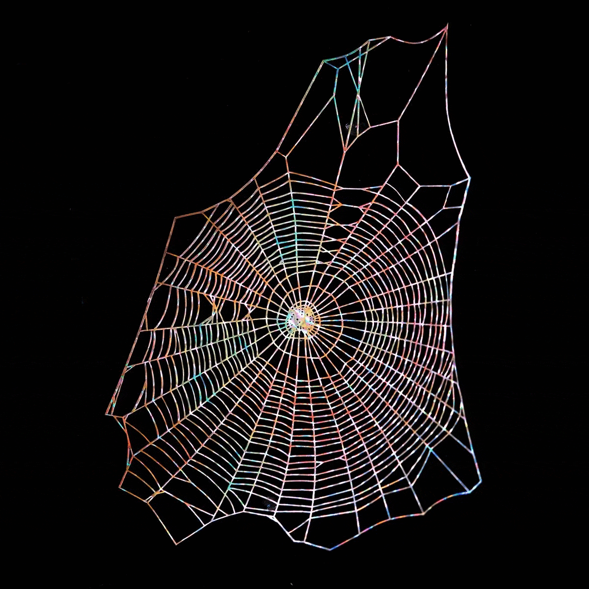 💫Spooky💫 Holographic Spiderweb - Artist Discount