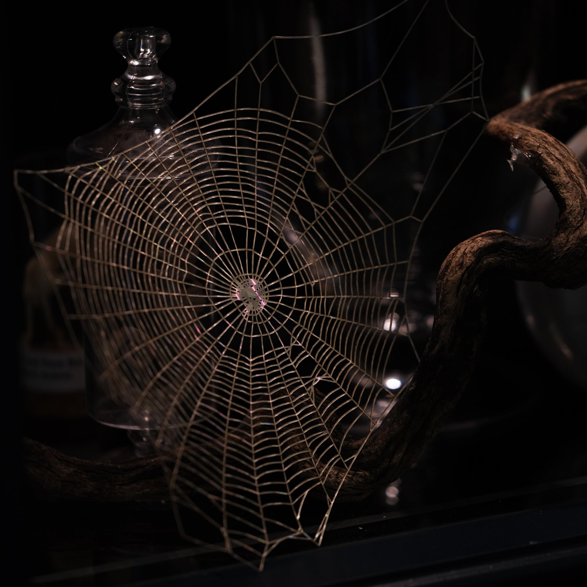 💫Halloween💫 Holographic Spiderweb Artist Wholesale