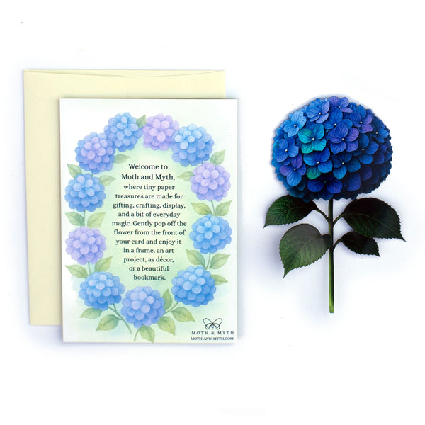 💫New💫 'Hydrangea' Greeting Cards - Set of 4 - Moth & Myth