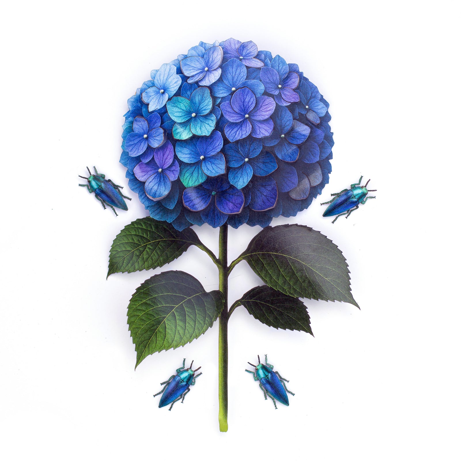 💫New💫 Blue Jewel Beetle & Blue Hydrangea Set