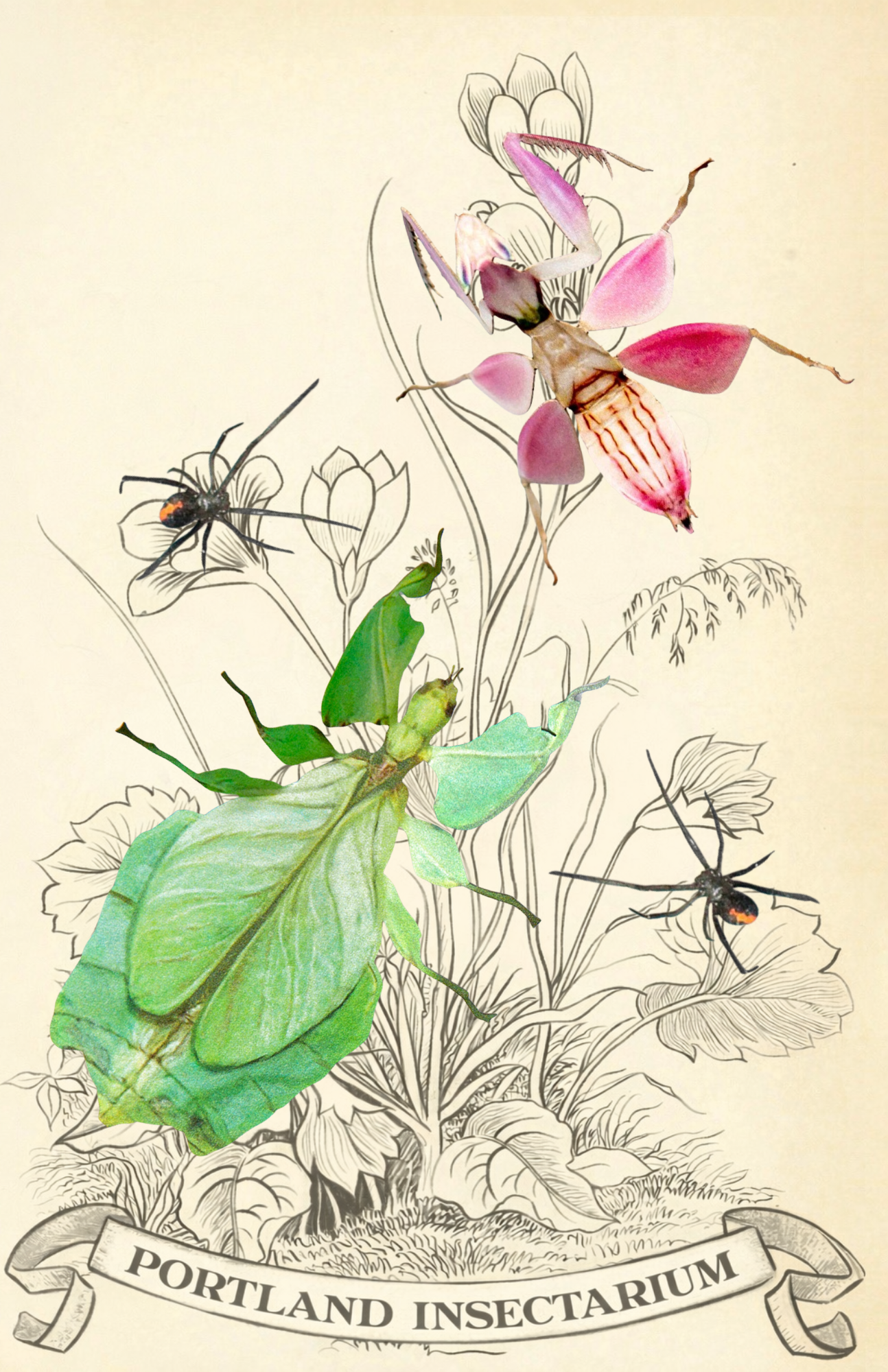 Custom For Portland Insectarium Set 1