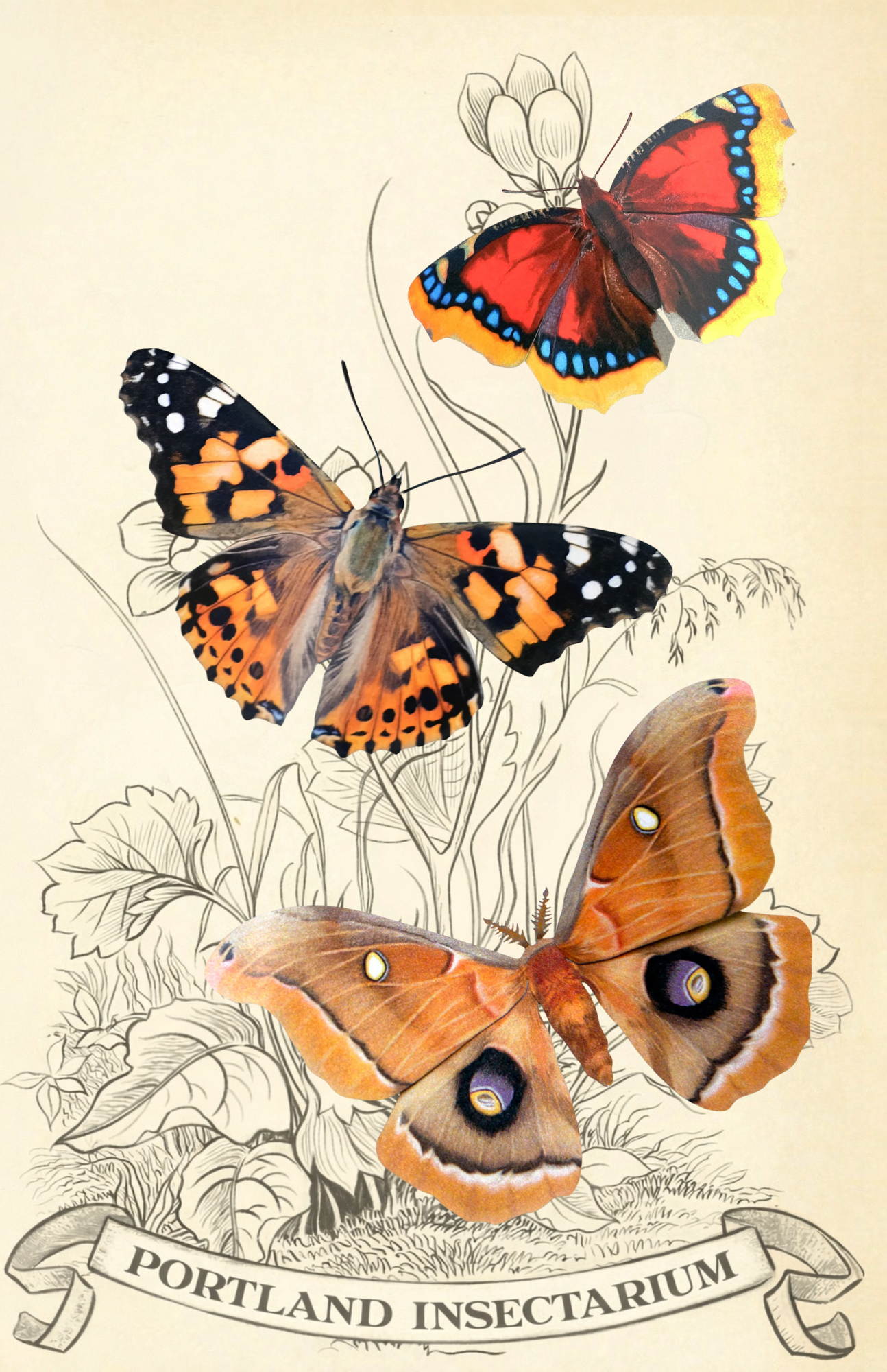 Custom Set for Portland Insectarium Set 2