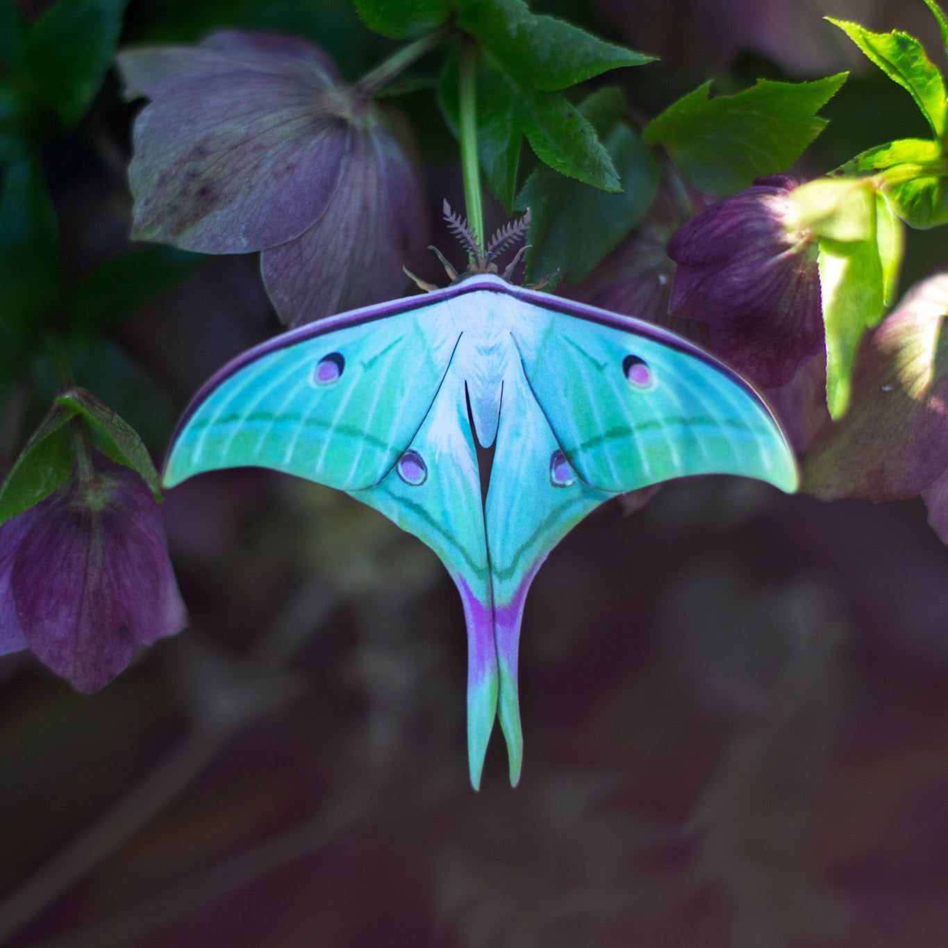 Paper Luna Moth 3-Piece Set 'Moonwake' - Moth & Myth