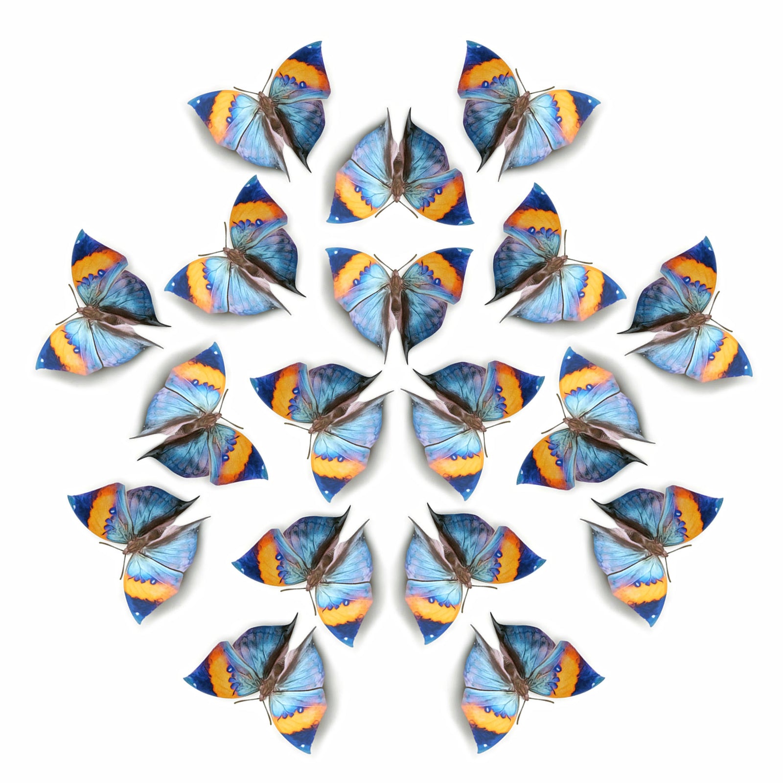 💫New!💫 'Indian Oakleaf' Butterfly Multi-Pack