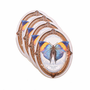 Indian Oakleaf Butterfly Oval Greeting Card - Set of 4 - Reseller Wholesale