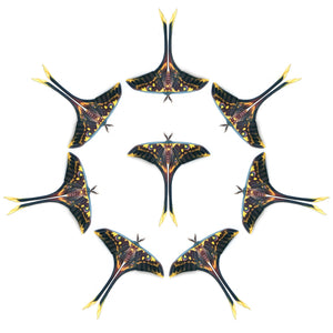 'Isis Moon' Moth Multi-Pack