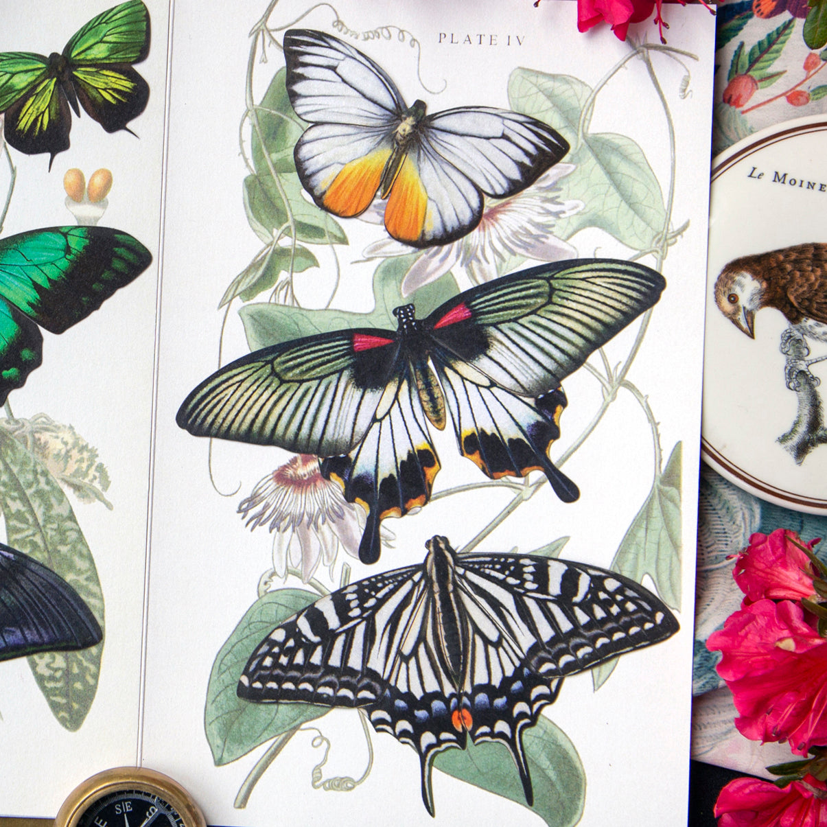 'Basra' Butterfly Set