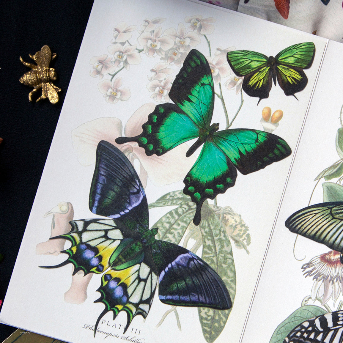 'Malachite' Butterfly Set