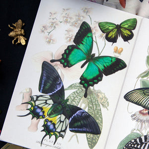 'Malachite' Butterfly Set