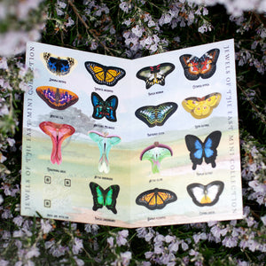 ⚡️New!⚡️ 'Jewels of the East' Mini Collection