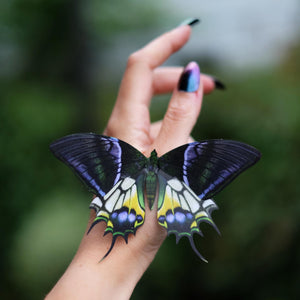 'Malachite' Butterfly Set