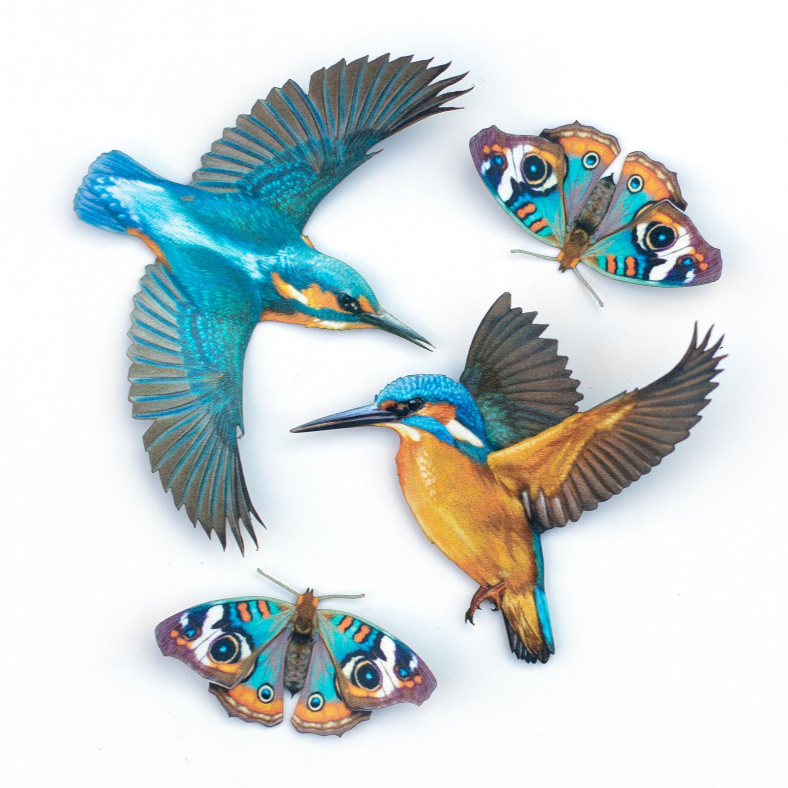 💫New💫 Blue Buckeye Butterfly & River Kingfisher Set - The Echo Collection - 'Flutter & Flight'