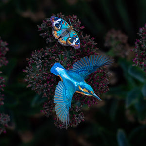 💫New💫 Blue Buckeye Butterfly & River Kingfisher Set - The Echo Collection - 'Flutter & Flight'