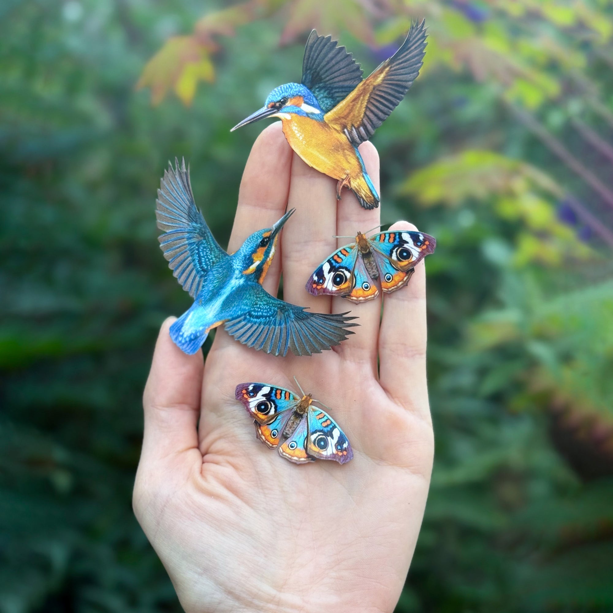 💫New💫 The Echo Collection - 'The Flutter & Flight Series'