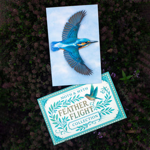 💫New💫 River Kingfisher (life-sized) - 'Feather & Flight'