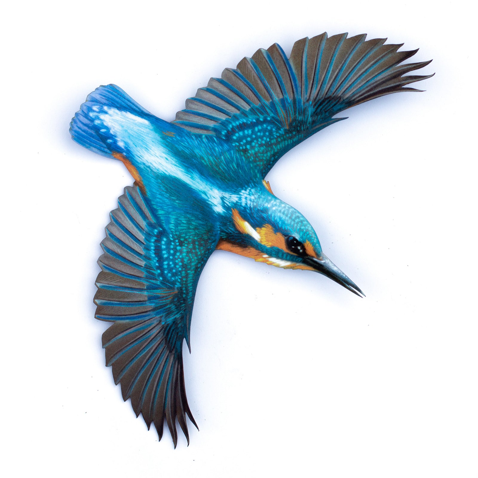 💫New💫 River Kingfisher (life-sized) - 'Feather & Flight'