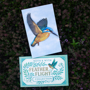 💫New💫 River Kingfisher (life-sized, sitting) - 'Feather & Flight'