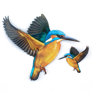 💫New💫 River Kingfisher (life-sized, sitting) - 'Feather & Flight'