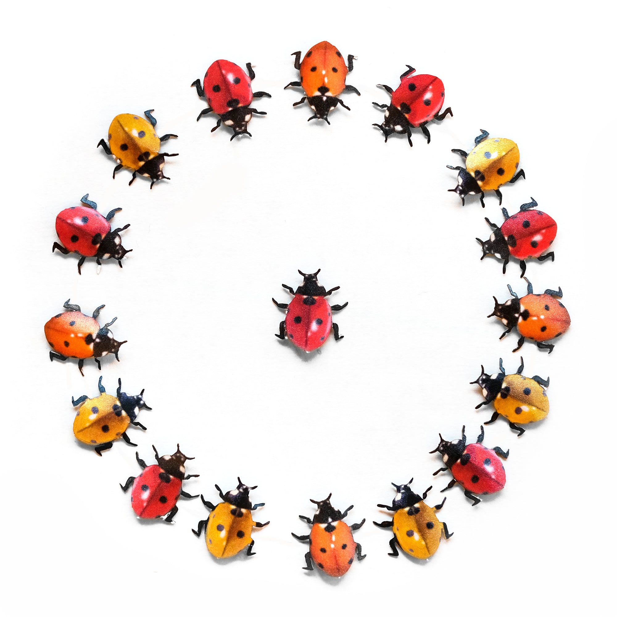 💫Limited!💫 Ladybug Collection - Artist Discount