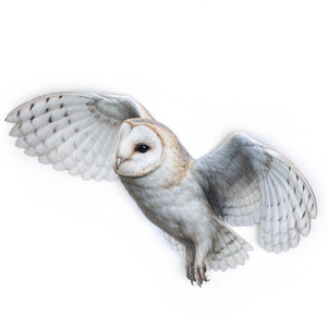 💫New💫 Large Barn Owl (Flying) - The Nocturne Collection
