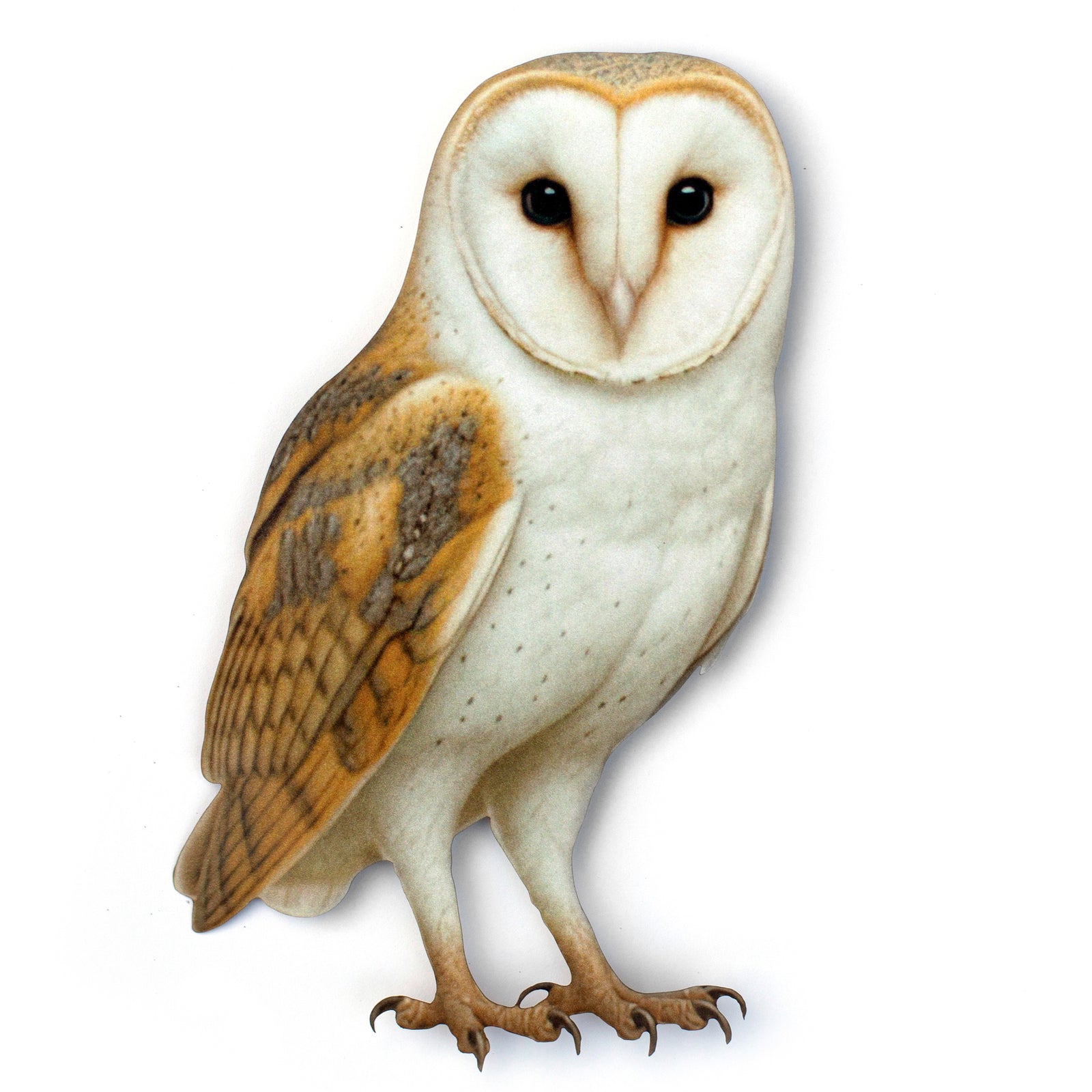 💫New💫 Large Barn Owl (Perched) - The Nocturne Collection