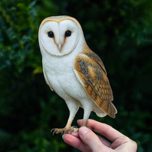 💫New💫 Large Barn Owl (Perched) - The Nocturne Collection
