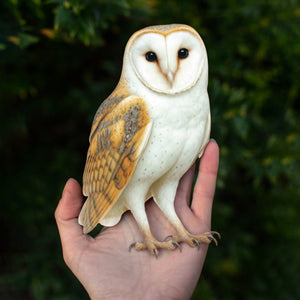 💫New💫 Large Barn Owl (Perched) - The Nocturne Collection