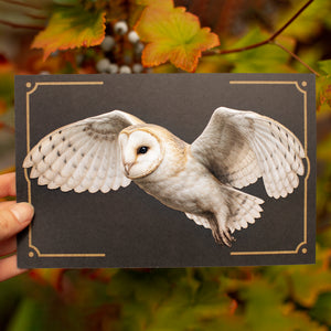 💫New💫 Large Barn Owl (Flying) - The Nocturne Collection