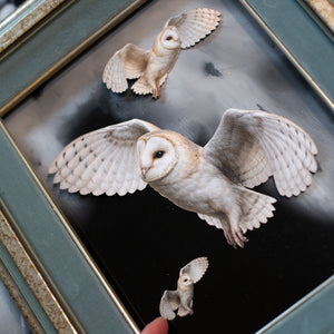 💫New💫 Large Barn Owl (Flying) - The Nocturne Collection